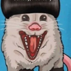 Meet your Posher, Jan